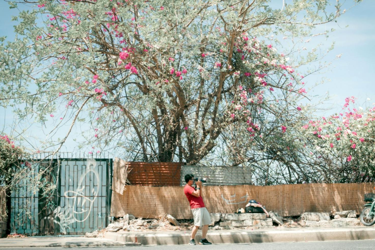 Studenti durante una sessione pratica di composizione fotografica